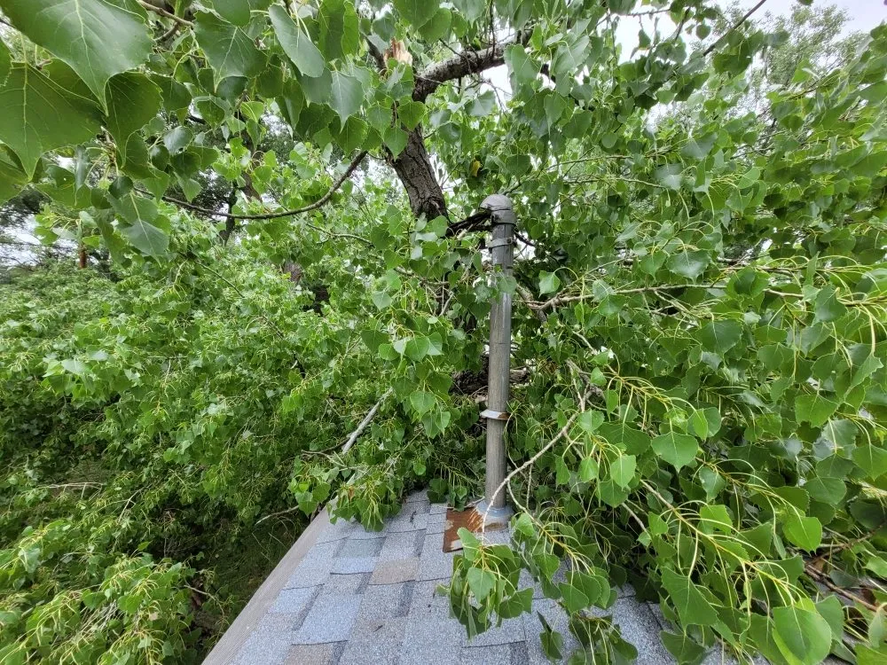 Custom landscape installation in Salina, KS - Mend And Mow