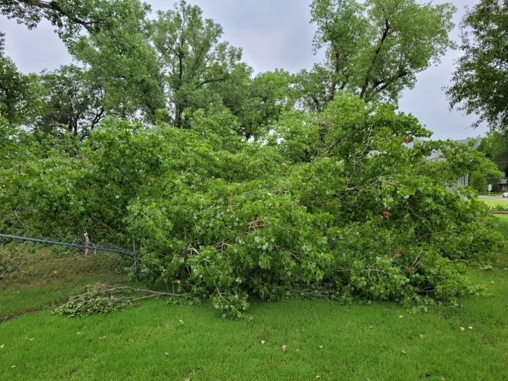 Reliable outdoor landscaping in Salina, KS - Mend And Mow