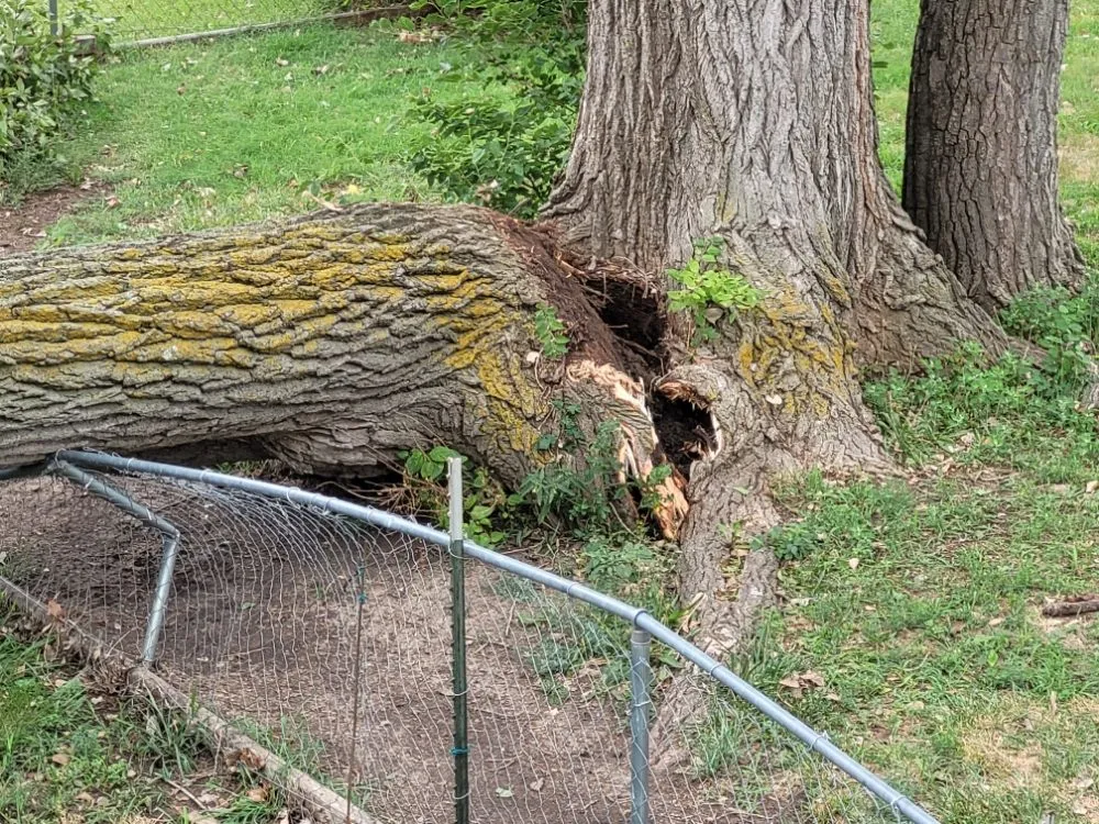 Top-rated outdoor landscaping in Salina, KS - Mend And Mow