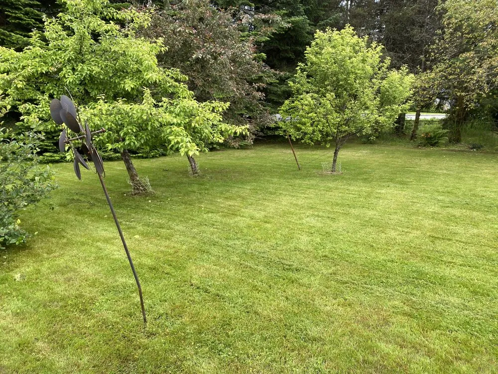 Trusted landscape design in Juneau, AK - Mendenhall Contracting LLC