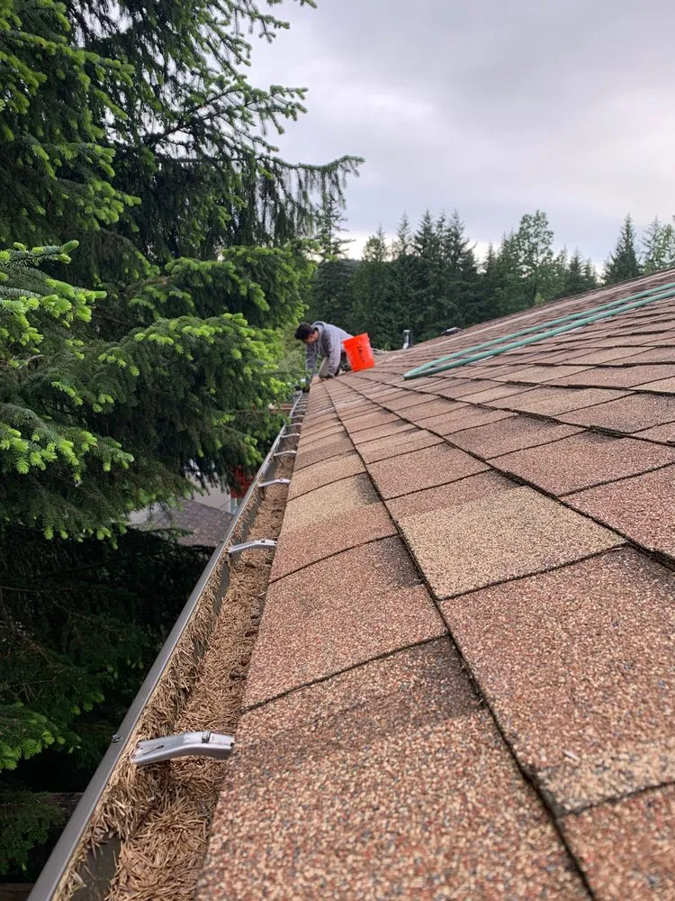 Affordable landscaping services for beautiful yards in Juneau, AK by Mendenhall Contracting LLC