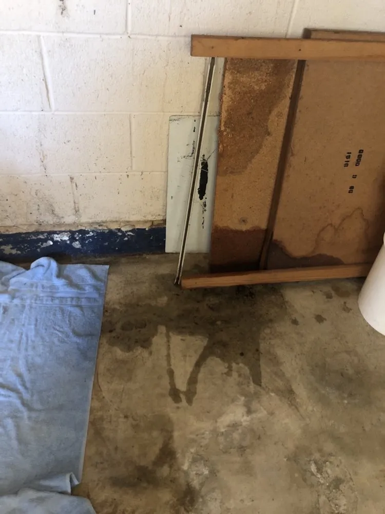 Expert landscape design experts serving Rio Linda, CA - Mendez Handy Services