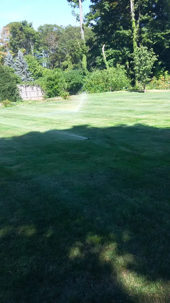 Local yard maintenance in Lynn, MA - Mendez Irrigation