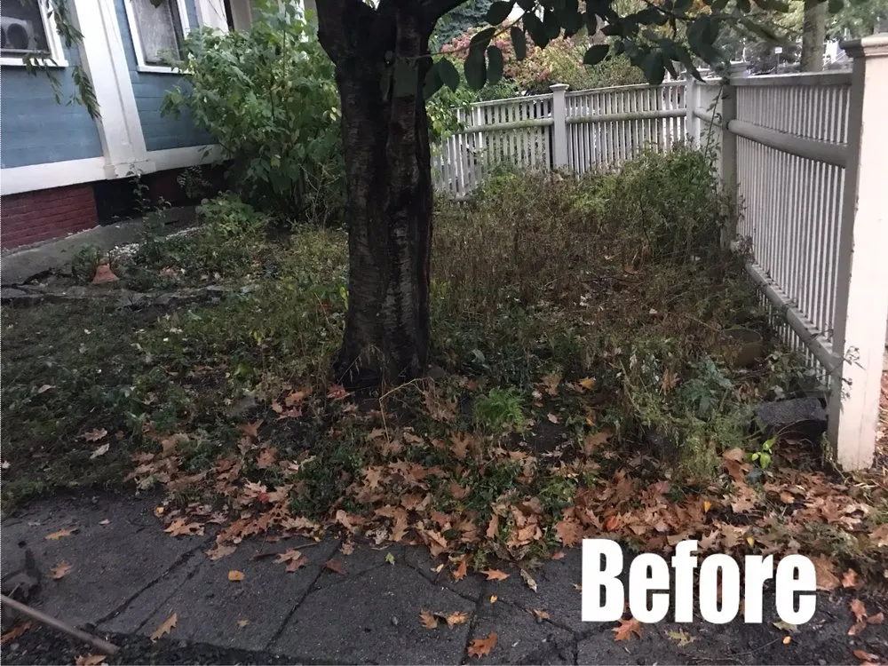 Affordable landscape installation in Lynn, MA by Mendez Irrigation