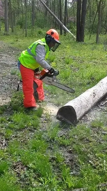 Top-rated yard cleanup service in Belmont, MI - Mendez Landscape