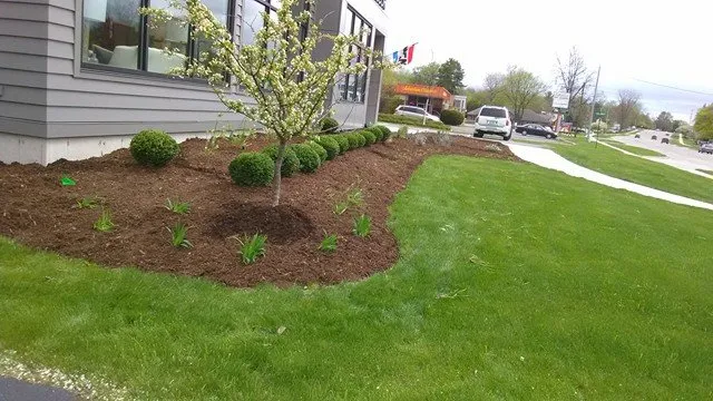 Expert landscape design for outdoor upgrades in Belmont, MI by Mendez Landscape