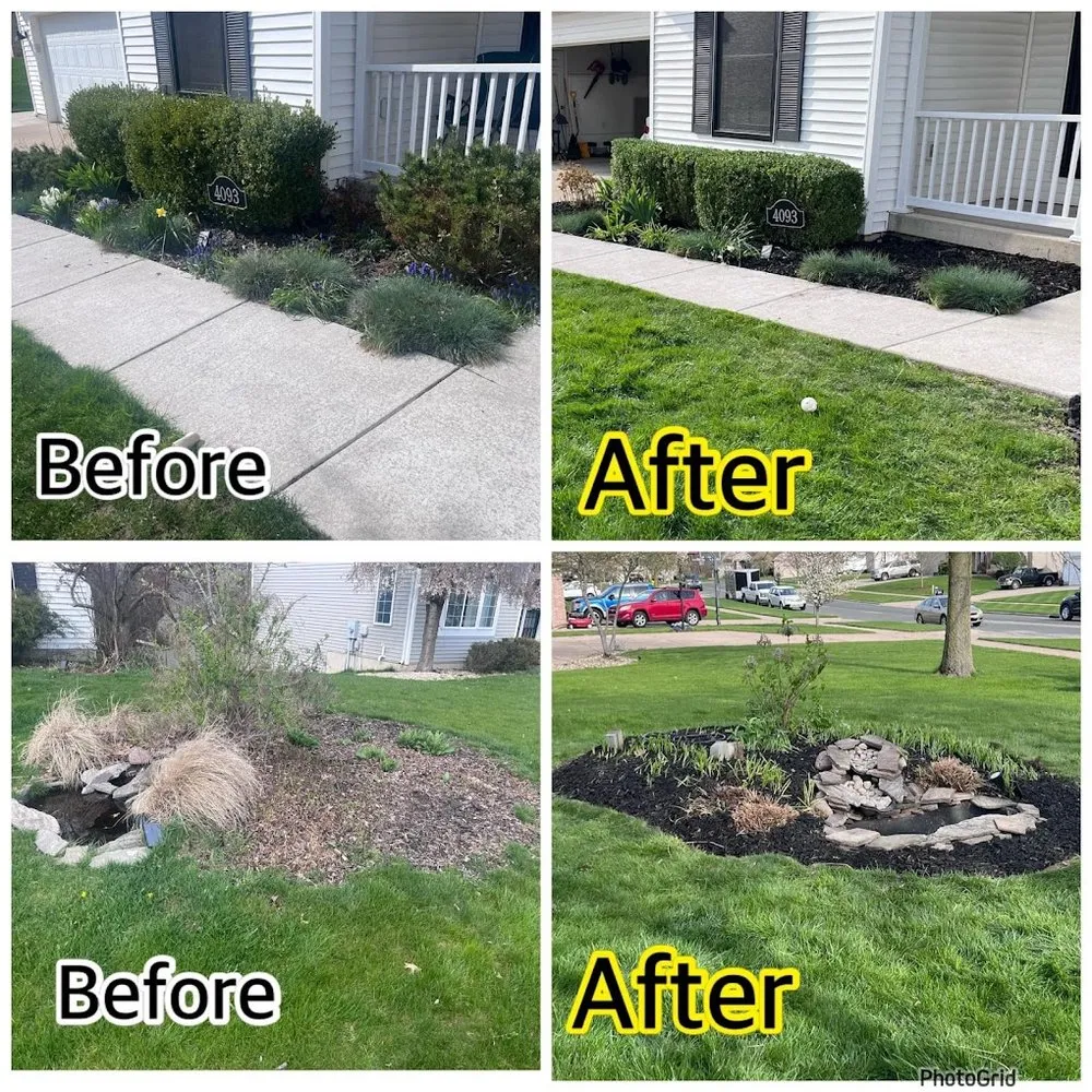 Professional yard cleanup service in Belmont, MI by Mendez Landscape