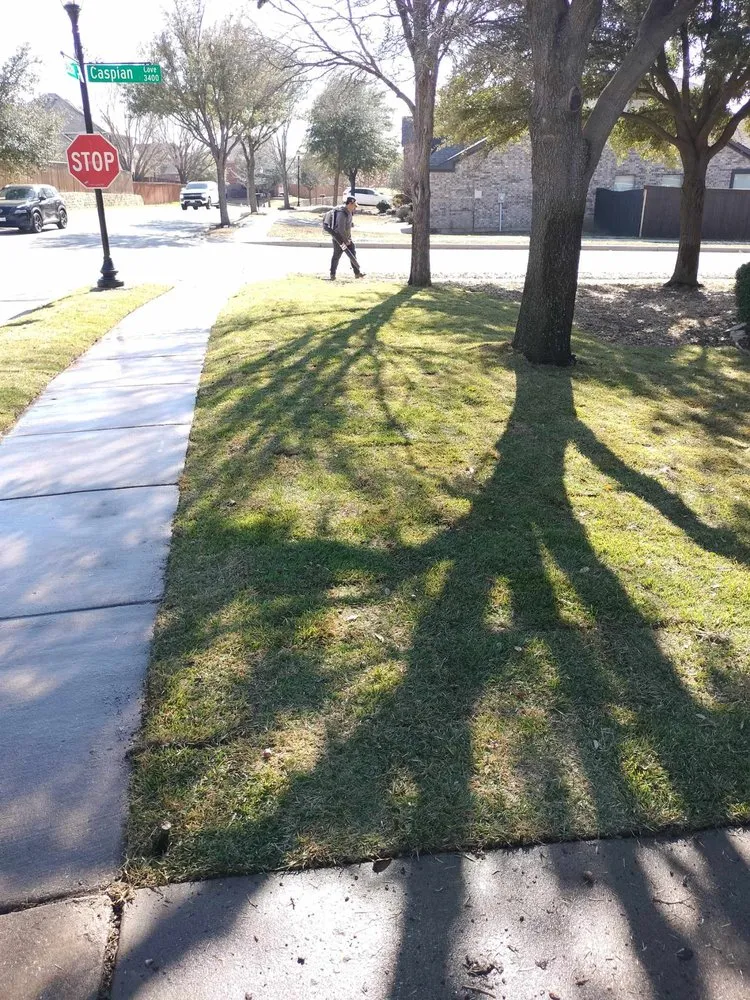 Reliable outdoor landscaping in Fort Worth, TX - Mendez Landscapes