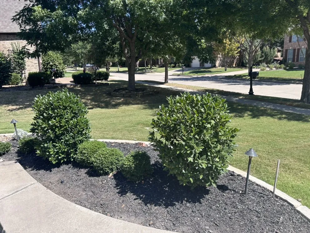 Reliable landscape design for beautiful yards across Fort Worth, TX - Mendez Landscapes