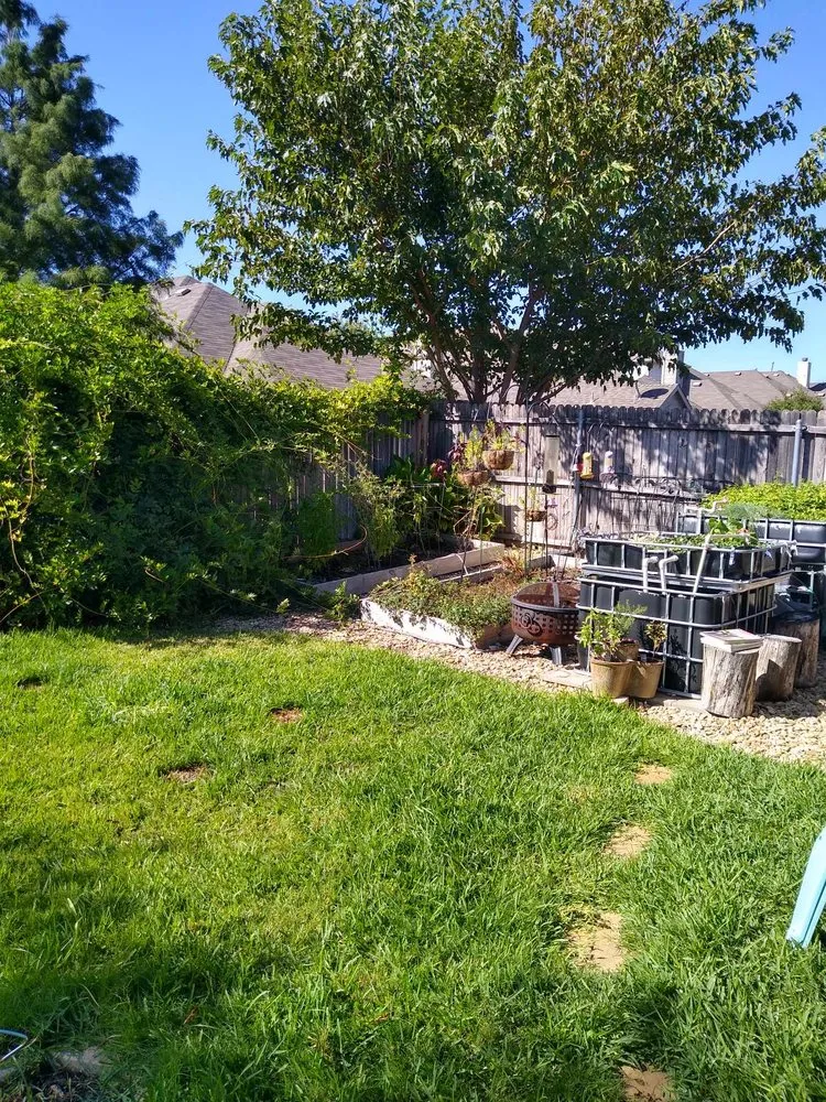 Reliable yard maintenance in Fort Worth, TX - Mendez Landscapes