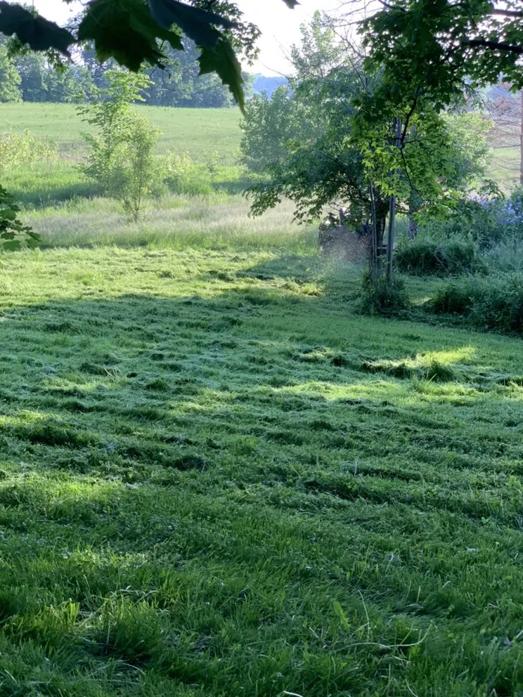 Top-rated yard maintenance experts serving Kenosha, WI - Mendez Landscaping and Lawn Care