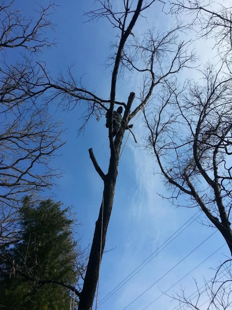 Expert residential landscaping in Kenosha, WI - Mendez Landscaping and Lawn Care