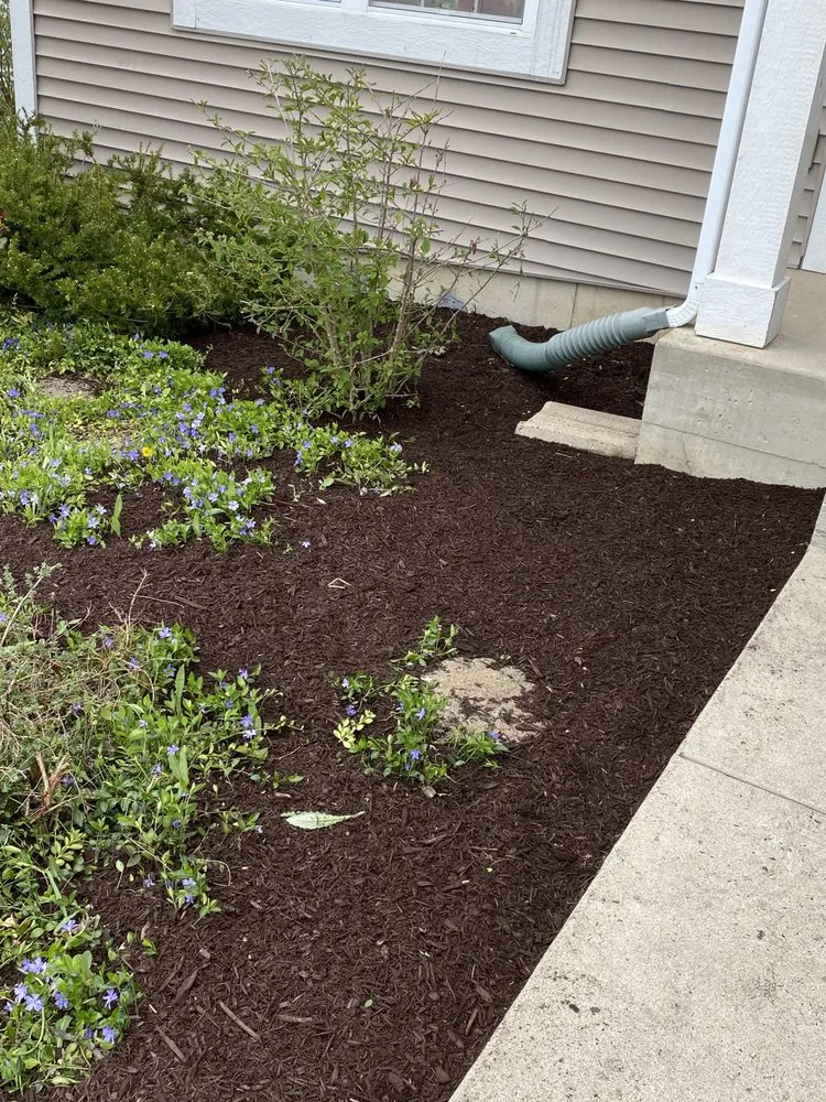 Custom lawn care service experts serving Kenosha, WI - Mendez Landscaping and Lawn Care