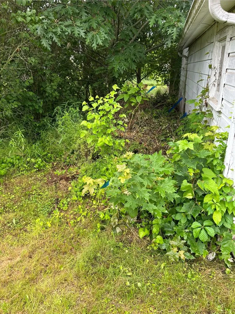 Local landscape design in Biglerville, PA - Mendez Landscaping