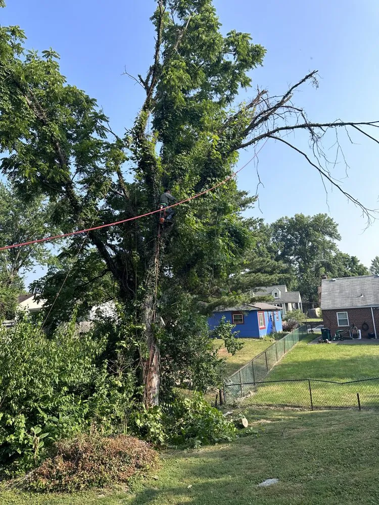 Affordable residential landscaping in Covington, KY by Mendez Landscaping