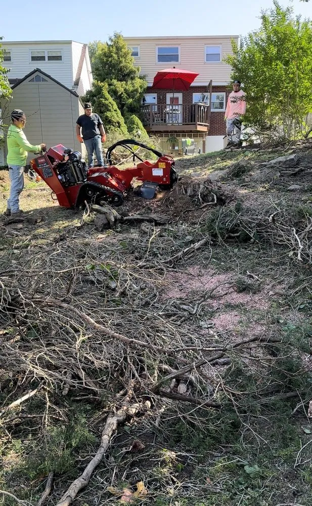 Affordable residential landscaping with custom design in Covington, KY by Mendez Landscaping