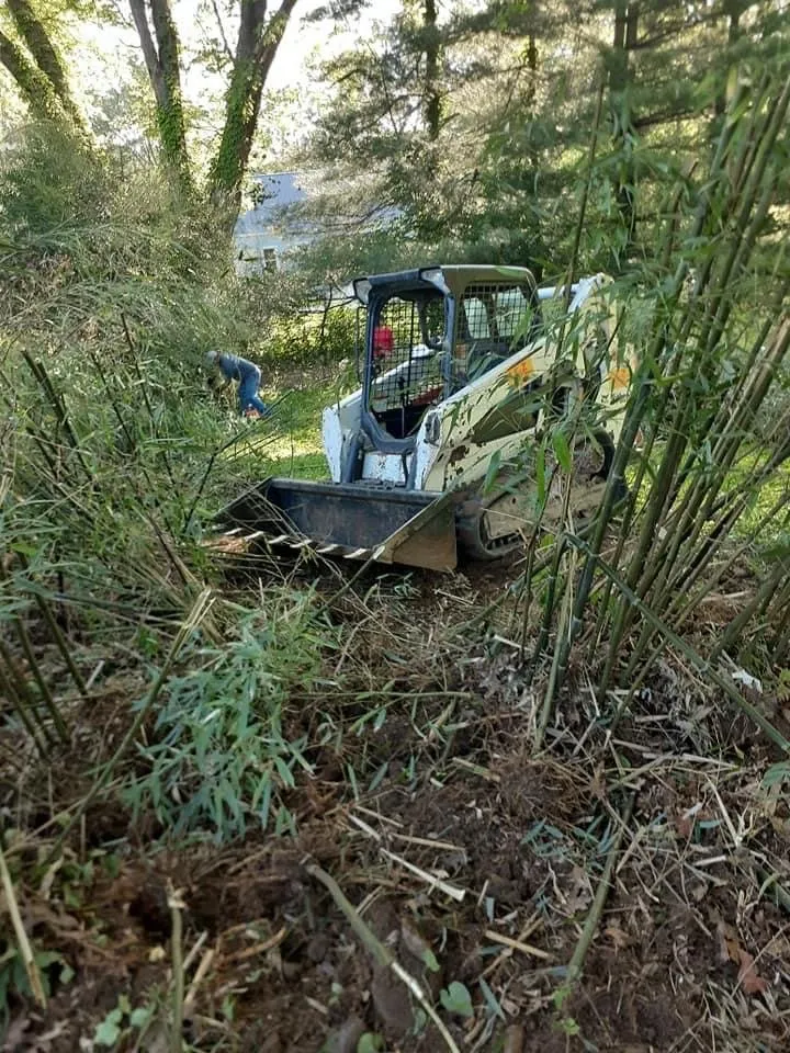 Custom residential landscaping for residential properties in Covington, KY by Mendez Landscaping