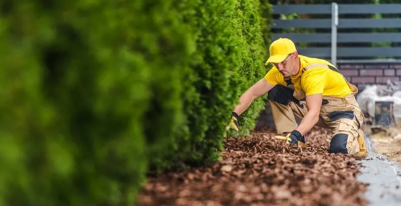 Professional yard maintenance with custom design across Madison, TN - Mendez Landscaping