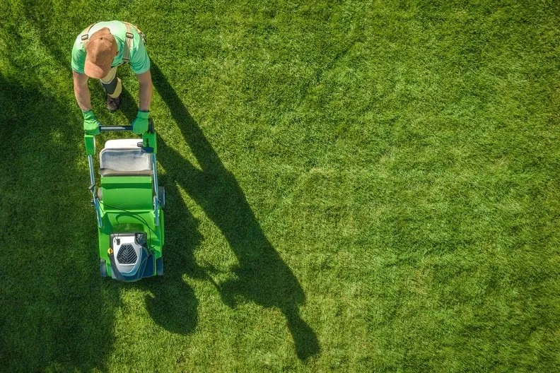 Affordable yard cleanup service for homes in Madison, TN by Mendez Landscaping