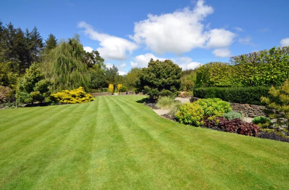 Expert yard cleanup service experts serving Madison, TN - Mendez Landscaping
