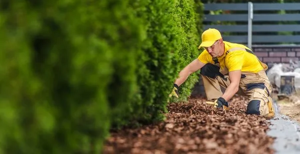 Mendez Landscaping Logo
