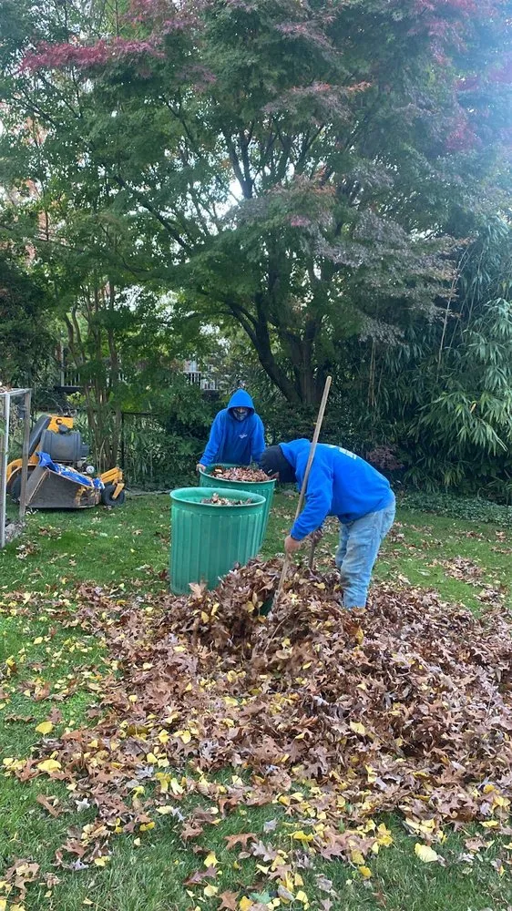 Trusted landscape installation experts serving Colrain, NY - Mendez Landscaping Sprinklers
