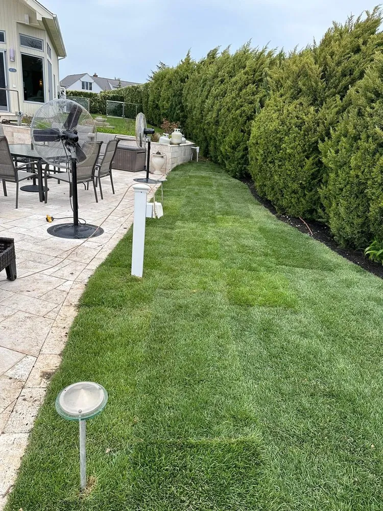 Local landscaping services in Colrain, NY by Mendez Landscaping Sprinklers