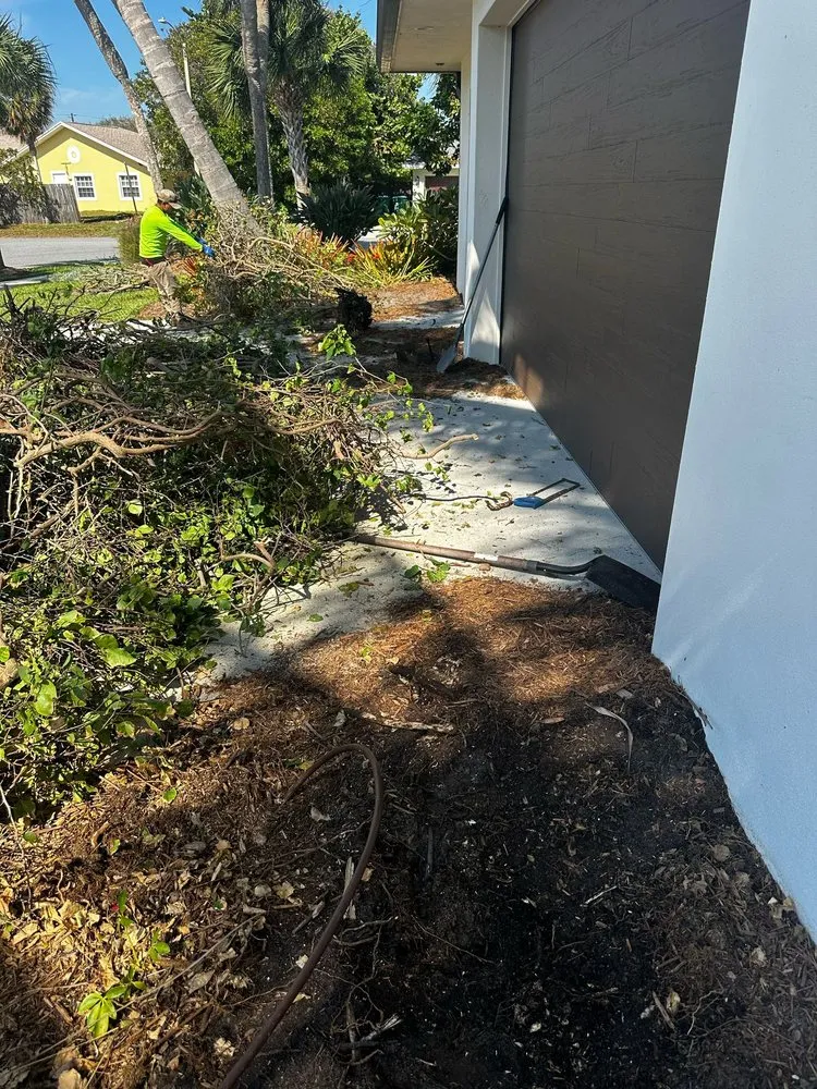Affordable yard cleanup service in Melbourne, FL - Mendez Lawn & Landscaping