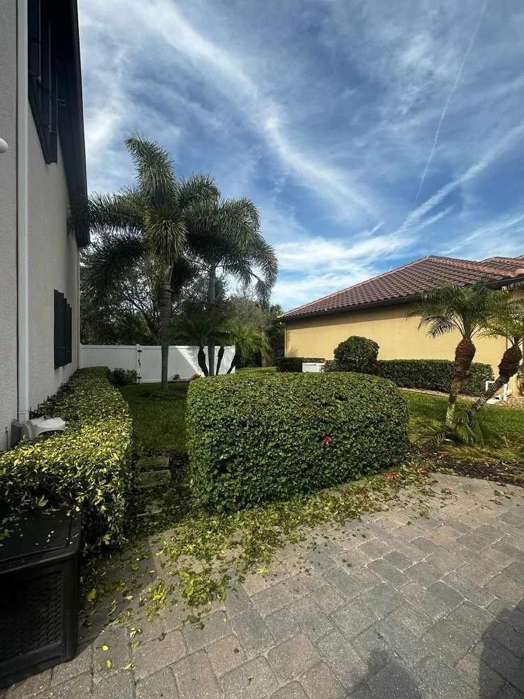 Top-rated landscape installation in Melbourne, FL by Mendez Lawn & Landscaping