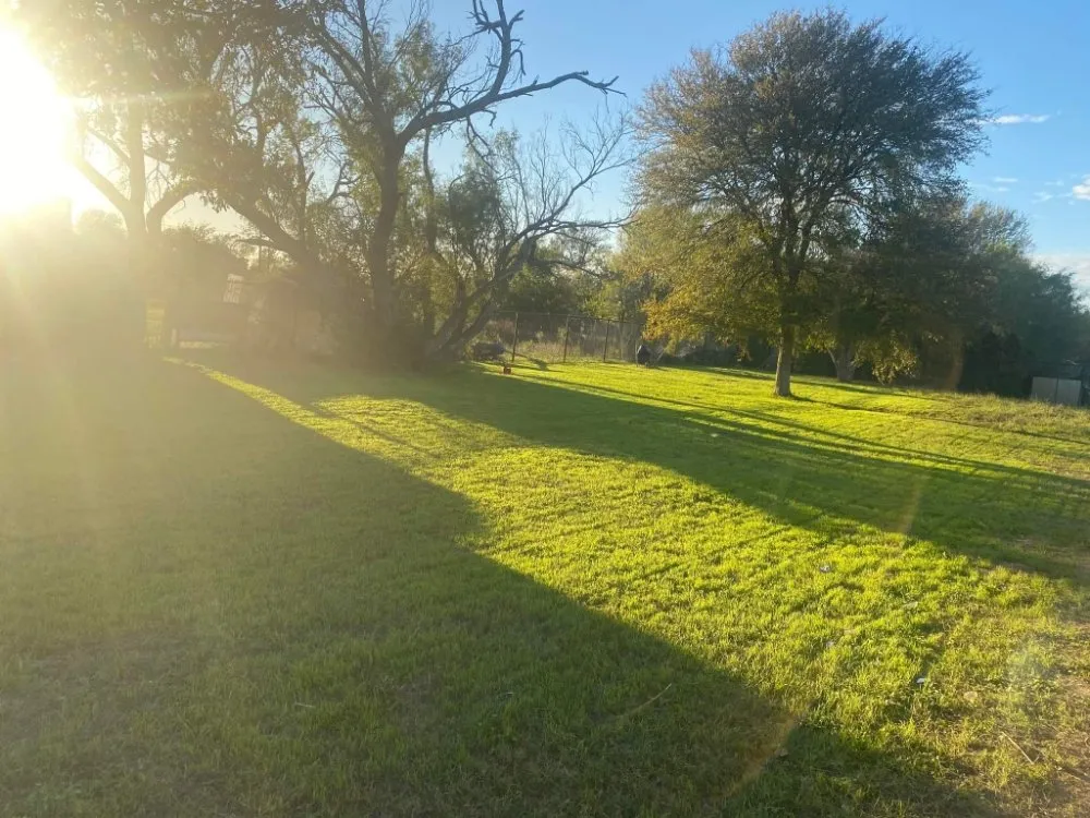 Top-rated landscaping services in Austin, TX - Mendez Lawn & More