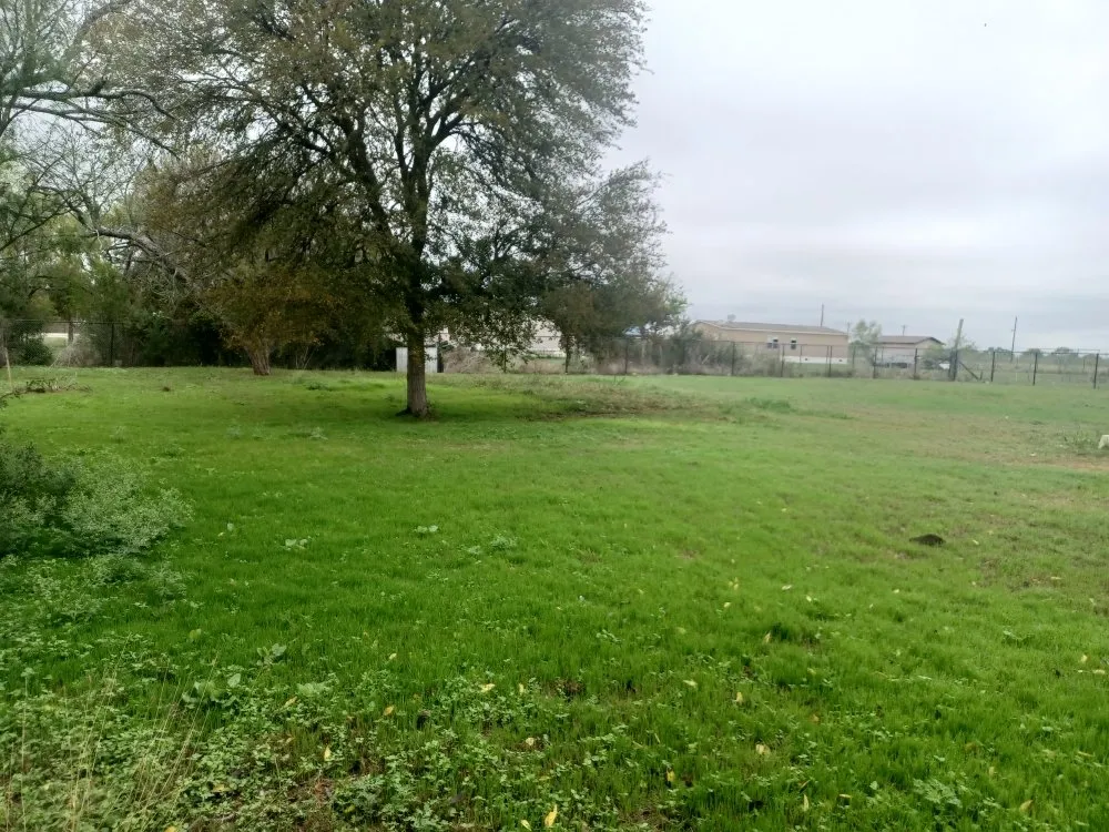 Trusted yard cleanup service for residential properties in Austin, TX by Mendez Lawn & More