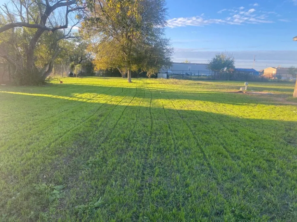 Local landscape design in Austin, TX - Mendez Lawn & More