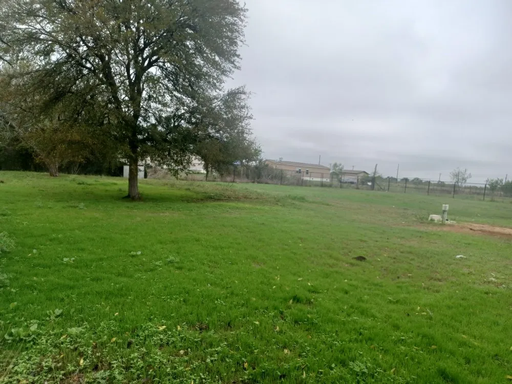 Top-rated landscape design experts serving Austin, TX - Mendez Lawn & More