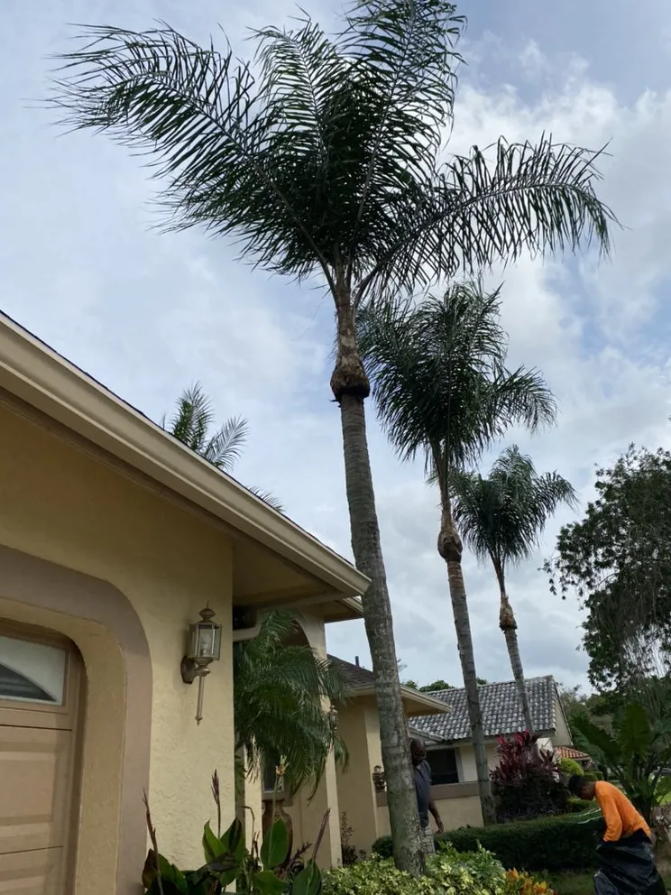 Local landscaping services for year-round maintenance in Lake Worth, FL by Mendez Lawn and Irrigation