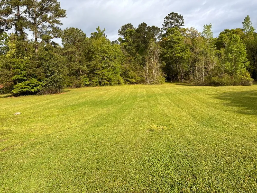 Local yard maintenance in Tallahassee, FL - Mendez Lawn Care & Landscaping Service