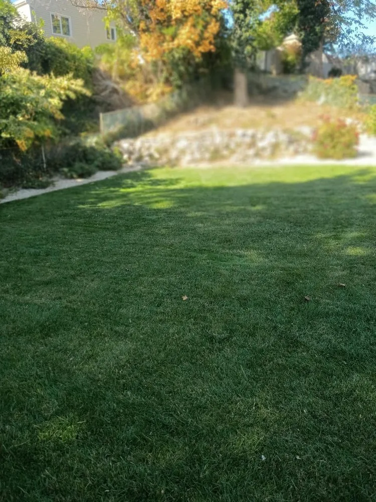 Local residential landscaping for year-round maintenance across Norwalk, CT - Mendez Lawn Care and Tick Control