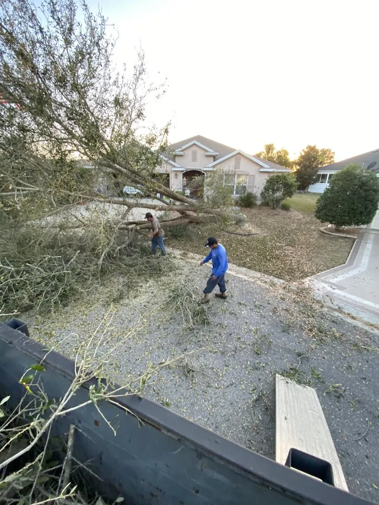 Expert lawn care service for beautiful yards in Summerfield, FL by Mendez Quality Pavers & Landscaping
