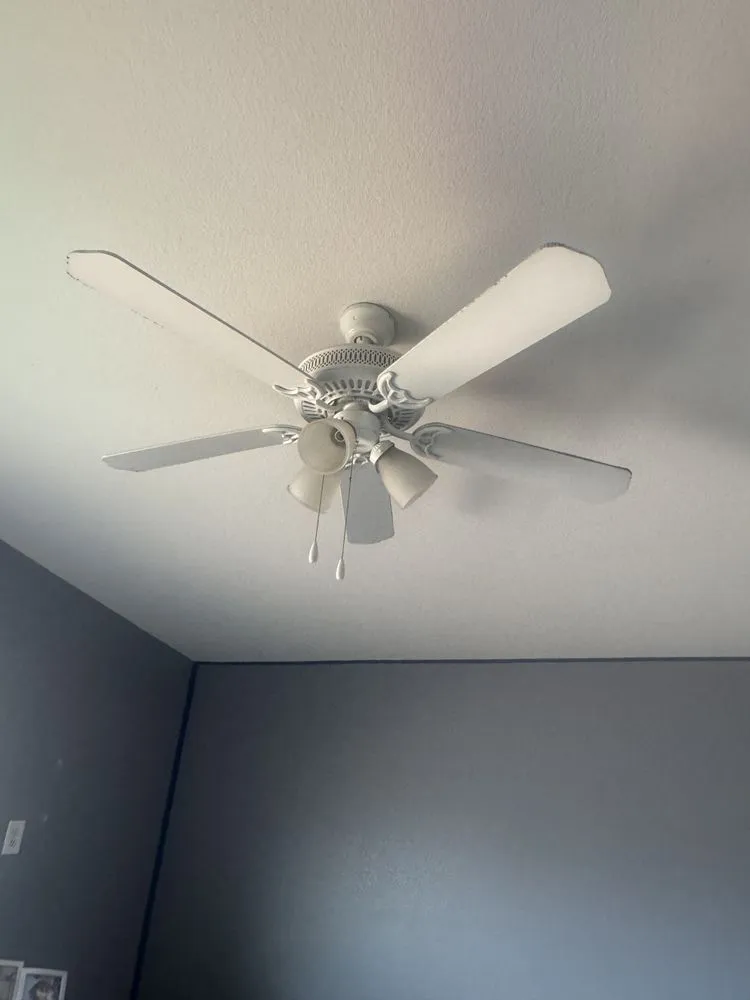 Reliable yard cleanup service experts serving Spring Valley, NV - Mendez Services