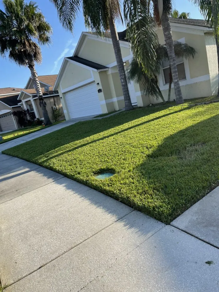 Affordable landscape design experts serving Oviedo, FL - Mendez Simple Lawn Service