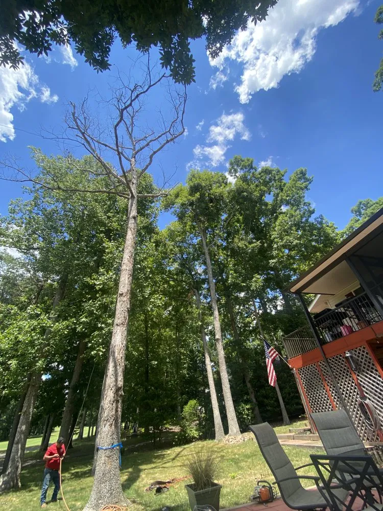 Expert yard maintenance in Culpeper, VA - Mendez Tree Service & Landscaping