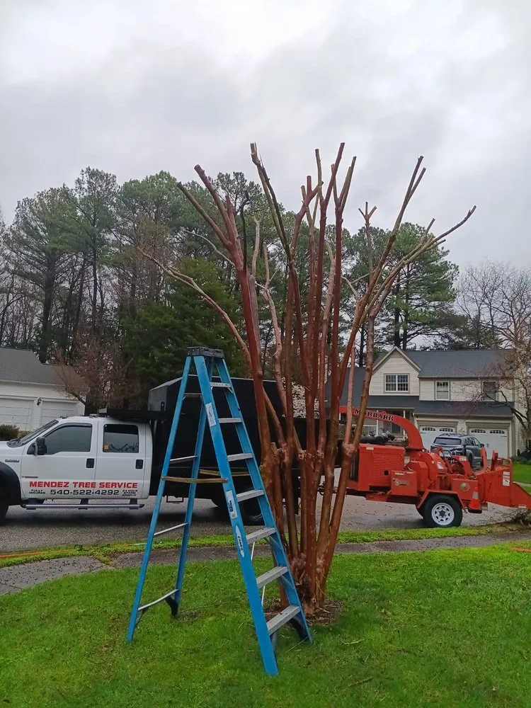 Professional lawn care service in Locust Grove, VA - Mendez Tree Service and Landscaping