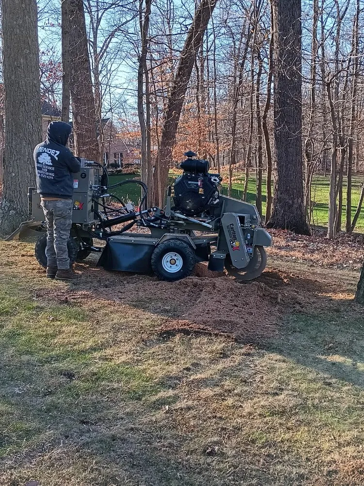 Expert landscape design in Locust Grove, VA - Mendez Tree Service and Landscaping