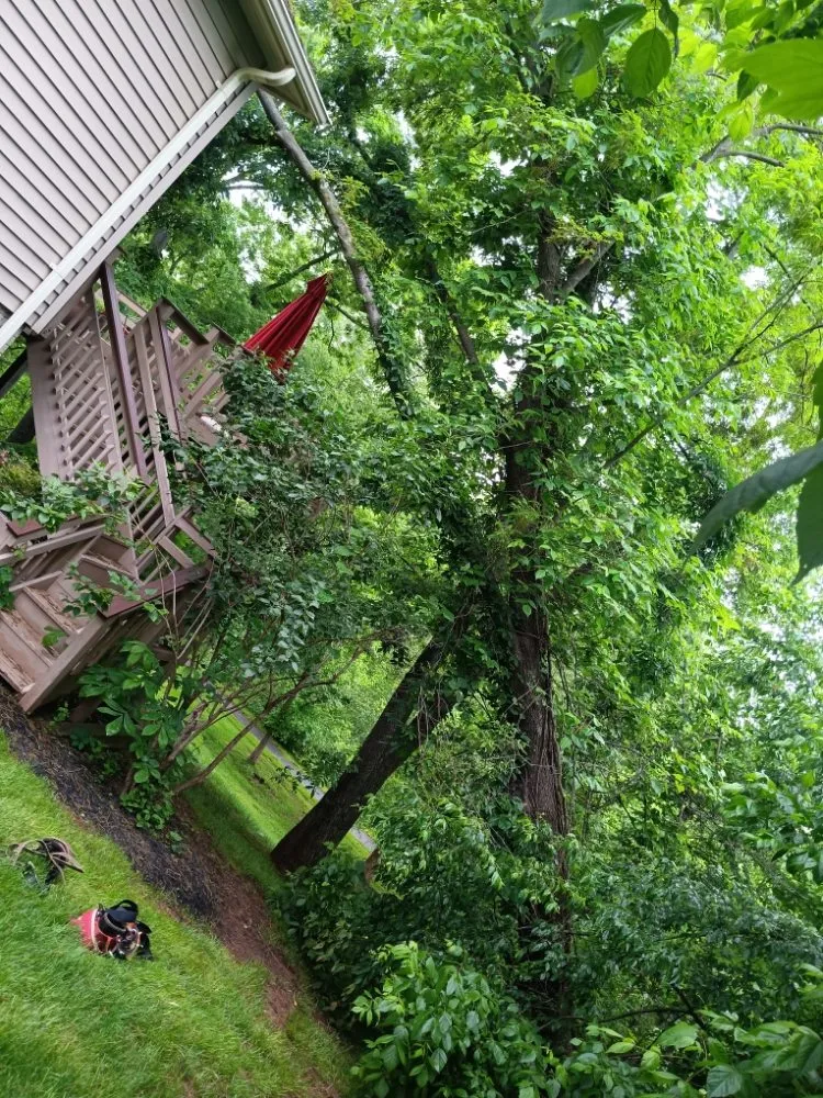 Custom outdoor landscaping for beautiful yards in Locust Grove, VA by Mendez Tree Service and Landscaping