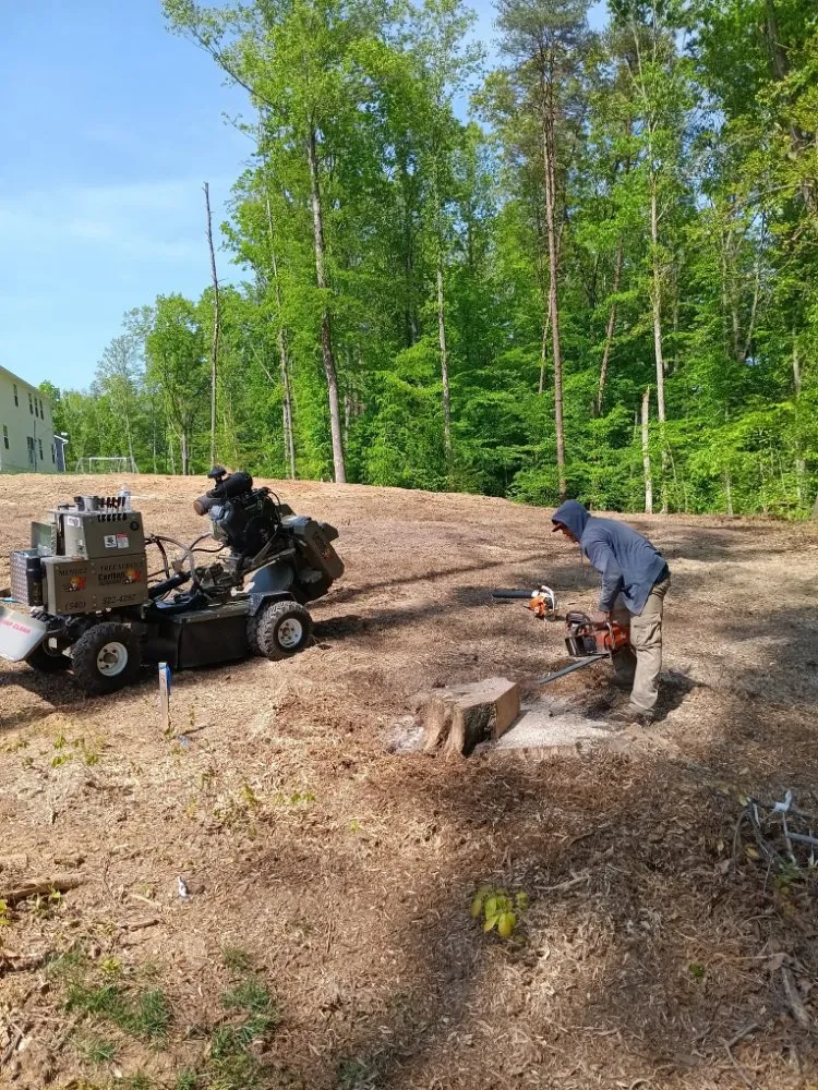 Expert lawn mowing service in Locust Grove, VA by Mendez Tree Service and Landscaping