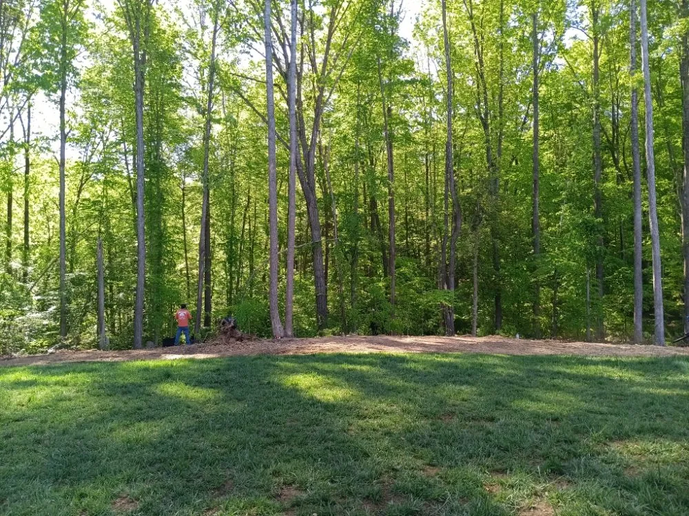 Professional yard maintenance for outdoor upgrades in Locust Grove, VA by Mendez Tree Service and Landscaping