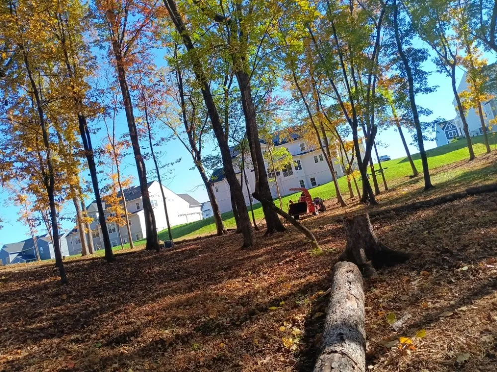 Reliable residential landscaping in Locust Grove, VA by Mendez Tree Service and Landscaping