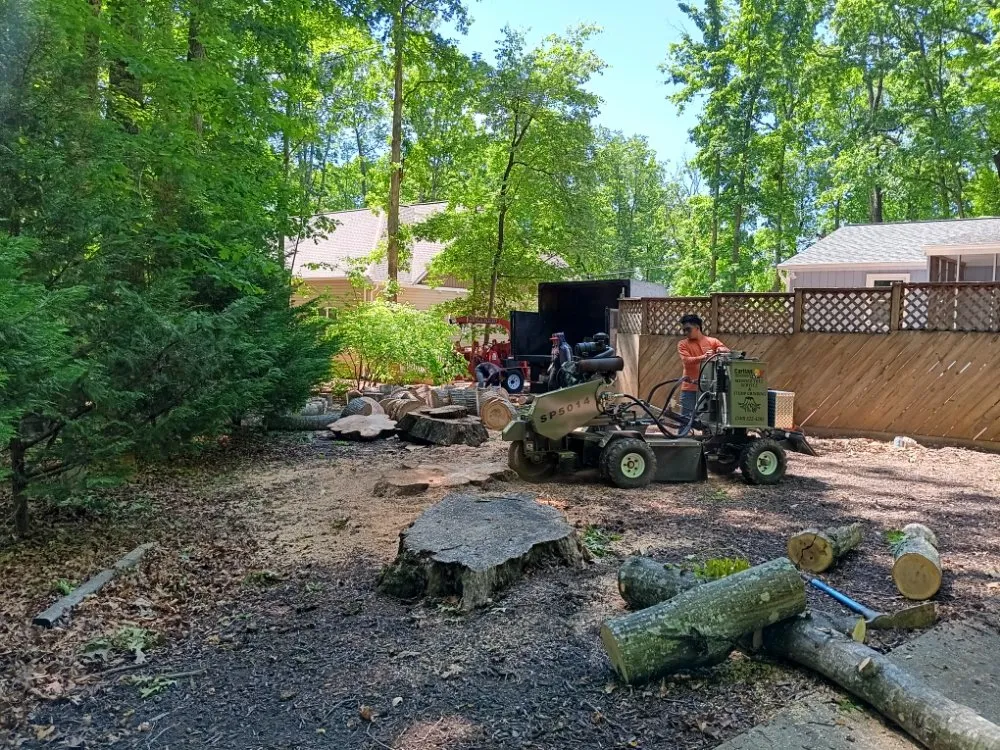 Affordable outdoor landscaping experts serving Locust Grove, VA - Mendez Tree Service and Landscaping
