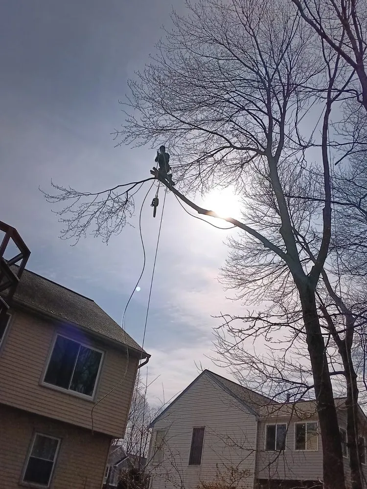 Affordable garden landscaping experts serving Locust Grove, VA - Mendez Tree Service and Landscaping