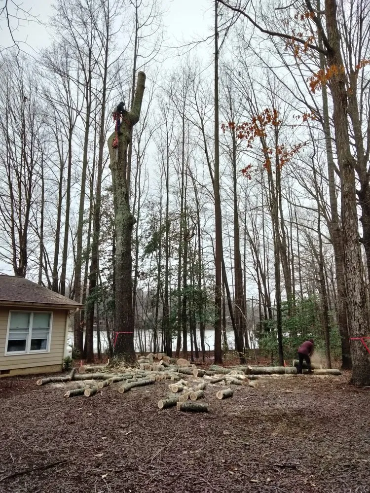 Professional landscape design in Locust Grove, VA - Mendez Tree Service and Landscaping
