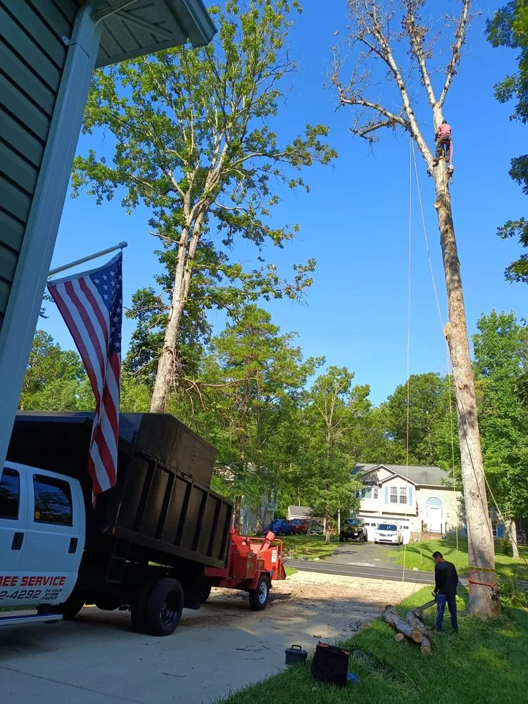 Professional landscaping services experts serving Locust Grove, VA - Mendez Tree Service and Landscaping